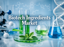 Biotech Ingredients, Sustainable Innovation Market